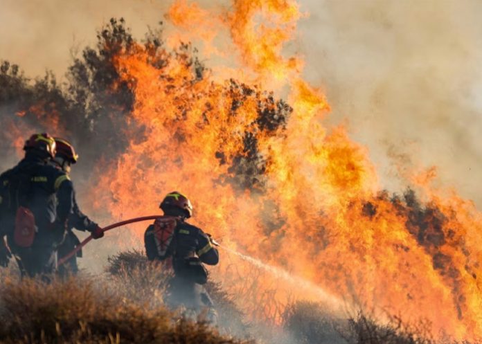 Foto: Fuego imparable en Grecia /cortesía Foto: Fuego imparable en Grecia /cortesía