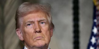 Foto: Trump y Putin conversan por teléfono /cortesía