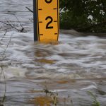 Inundaciones en Texas, Estados Unidos, dejan al menos 13 muertos Foto: Tormenta mortal en Estados Unidos /cortesía
