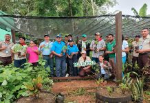 MARENA inaugura vivero con 50 mil plantas en Nueva Guinea