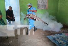 Foto: MINSA intensifica jornada antiepidémica en Managua/tn8