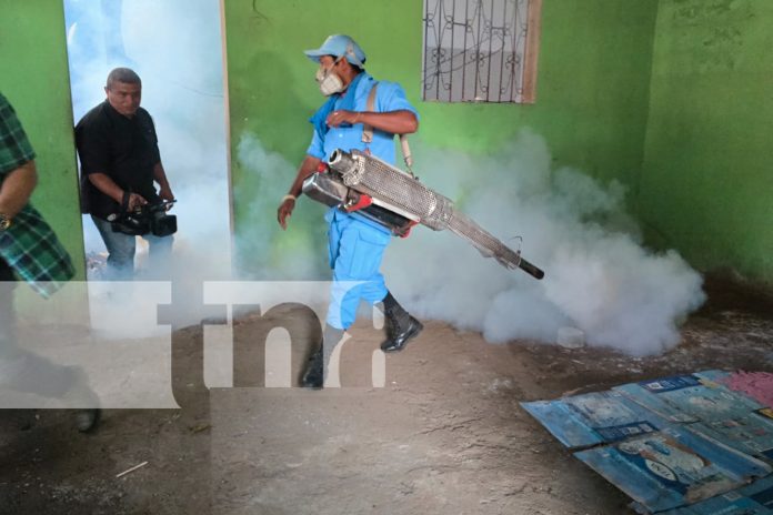 Foto: MINSA intensifica jornada antiepidémica en Managua/tn8 Foto: MINSA intensifica jornada antiepidémica en Managua/tn8