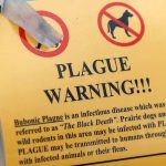 Primer caso mortal por peste neumónica desde 2007 en Arizona Foto:Arizona alerta tras caso fatal de peste pulmonar/Cortesía