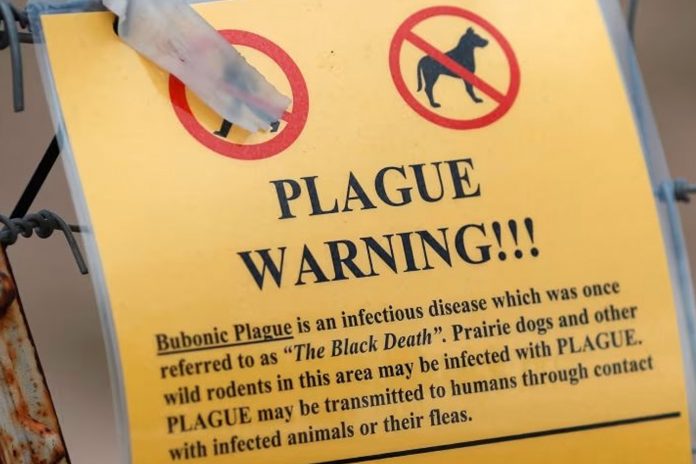 2 Foto:Arizona alerta tras caso fatal de peste pulmonar/Cortesía