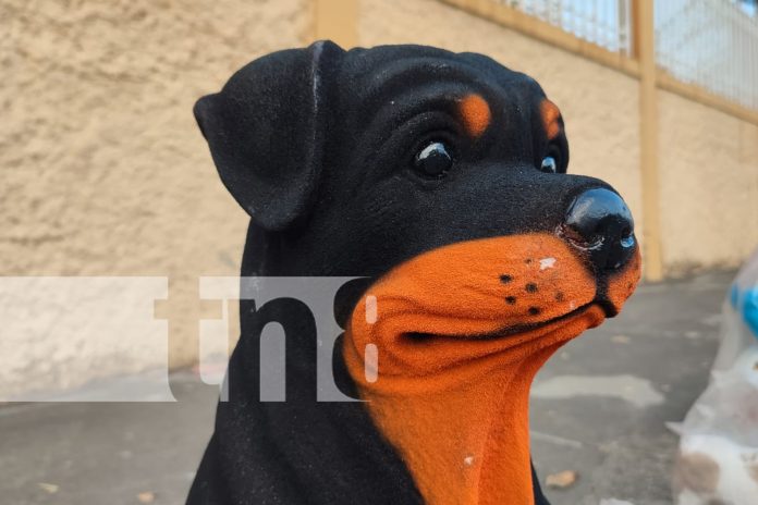 Foto: Artesanos mexicanos decoran Managua con piezas únicas/TN8 Foto: Artesanos mexicanos decoran Managua con piezas únicas/TN8