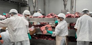 Foto: Exportación de carne bovina crece con apoyo gubernamental/Cortesía