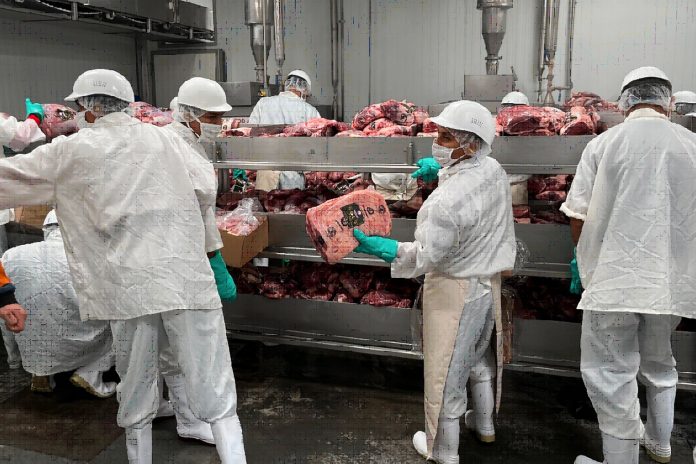 2 Foto: Exportación de carne bovina crece con apoyo gubernamental/Cortesía