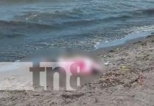 Paseo familiar termina en tragedia en Granada: un esteliano pierde la vida en el agua Foto: Paseo familiar termina en tragedia en Granada: un esteliano pierde la vida en el agua/TN8