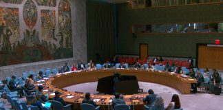 Foto: Consejo de Seguridad de la ONU debate situación crítica en Palestina / Cortesía