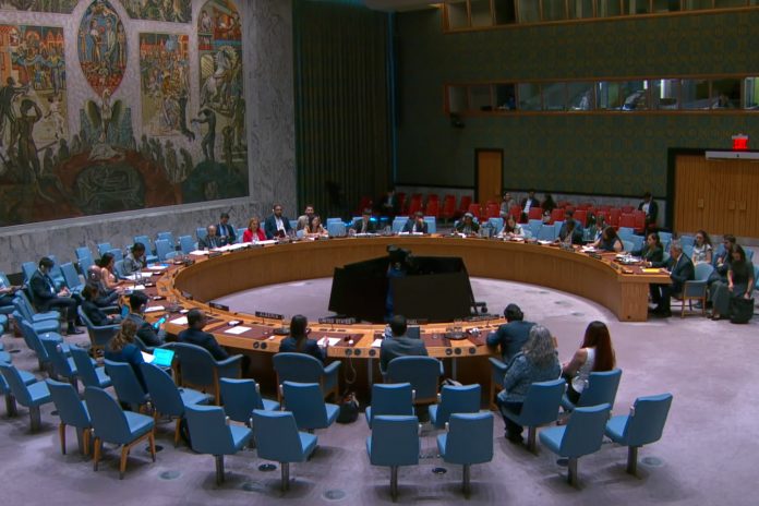 2 Foto: Consejo de Seguridad de la ONU debate situación crítica en Palestina / Cortesía