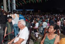 Foto: embanderillado del Palo Lucio en honor a Santo Domingo/TN8
