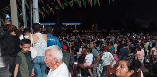 Foto: embanderillado del Palo Lucio en honor a Santo Domingo/TN8