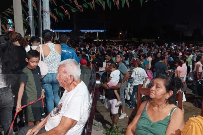 Foto: embanderillado del Palo Lucio en honor a Santo Domingo/TN8