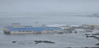 Foto: Terremoto de 8.8 sacude Rusia y activa alerta de tsunami/Cortesía