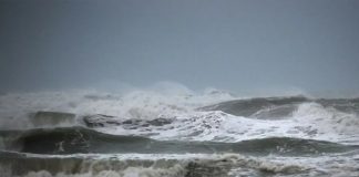Foto: Riesgo de tsunami global /cortesía