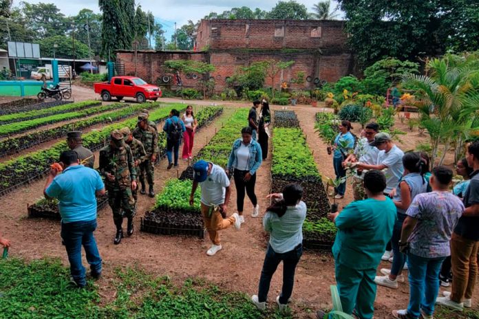 Foto: MARENA inauguró tres viveros emblemáticos/ Cortesía Foto: MARENA inauguró tres viveros emblemáticos/ Cortesía