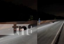 Muerte en la Garita Norte: Conductor imprudente acaba con la vida de un anciano Foto: Accidente en el sector de la Garita Norte, en Managua/ TN8
