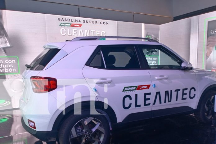 Foto: Puma Energy apuesta por combustibles más limpios/TN8