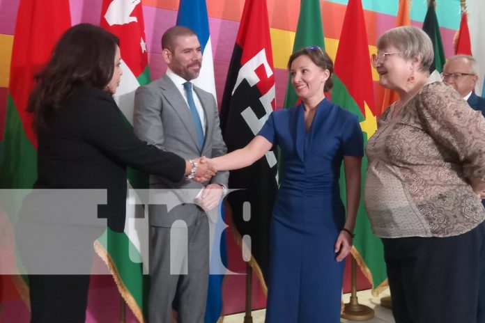 3 Foto: Delegaciones de Rusia y RT / TN8