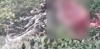 Foto: Macabro hallazgo en Tisma/TN8