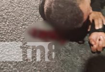 Un atropellado y un lesionado, son los resultados de dos accidentes en Managua Foto: Un atropellado y un lesionado, son los resultados de dos accidentes en Managua/TN8