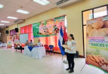 INTA fortalece producción tuberosa con capacitación y tecnologías modernas