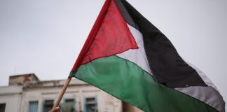 Foto: Francia reconocerá a Palestina como Estado /Cortesía