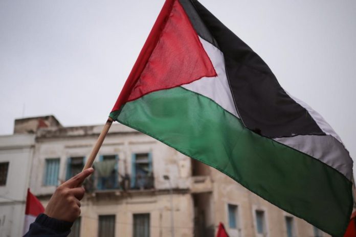 Foto: Francia reconocerá a Palestina como Estado /Cortesía Foto: Francia reconocerá a Palestina como Estado /Cortesía