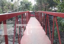 Foto: El MICONS ya tiene su puente peatonal/TN8