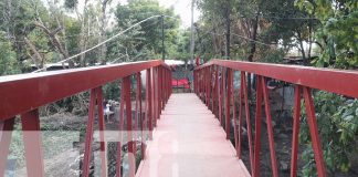 Foto: El MICONS ya tiene su puente peatonal/TN8
