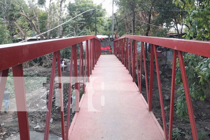 Foto: El MICONS ya tiene su puente peatonal/TN8