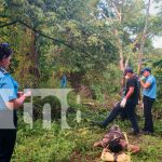 Río Sapoá se cobra otra vida: cuerpo es recuperado por el Ejército Foto: Río Sapoá revela cuerpo de hombre arrastrado/TN8