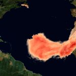 Polvo sahariano llega a Centroamérica y reduce la calidad del aire Foto: Polvo del Sahara traerá menos lluvias y más calor/Cortesía