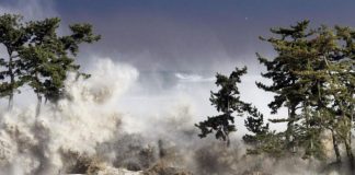 Foto: Erupción volcánica y tsunami /cortesía