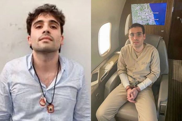 Foto: Ovidio Guzmán se declara culpable /Cortesía Foto: Ovidio Guzmán se declara culpable /Cortesía