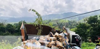 Foto: Sobreviven de milagro a brutal accidente en el Wale /TN8