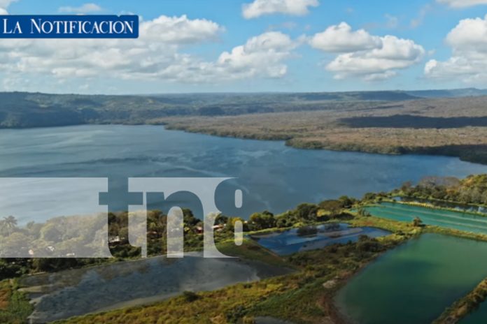 7 Foto: El agua en Nicaragua: Un tesoro abundante, pero en riesgo si no la cuidamos/TN8