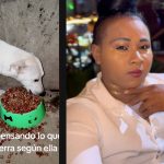 La Joela en el ojo del huracán por maltratar en vivo a su perrita «Estrella» Foto: La Joela causa indignación por agredir a su perrita /TN8
