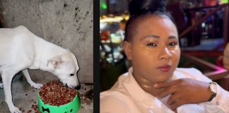 Foto: La Joela causa indignación por agredir a su perrita /TN8