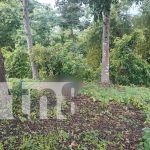 Foto: Misterio en Matagalpa: desaparece tras noche de tragos y lo hallan sin vida/TN8