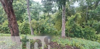 Foto: Misterio en Matagalpa: desaparece tras noche de tragos y lo hallan sin vida/TN8