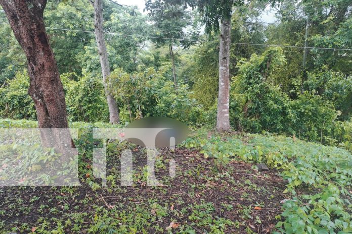 Foto: Misterio en Matagalpa: desaparece tras noche de tragos y lo hallan sin vida/TN8