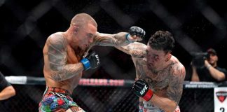 Dustin, Poirier, Max, Holloway, UFC