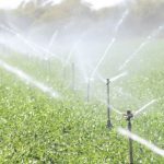 Regulación y uso del agua en Nicaragua: ¿Cómo se controla el consumo industrial y agropecuario y autolavados? Foto: Sistema de riego en Nicaragua