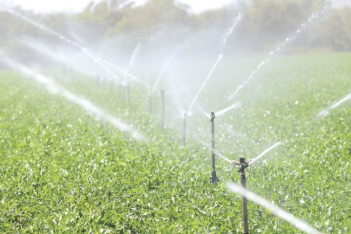 Foto: Sistema de riego en Nicaragua Foto: Sistema de riego en Nicaragua