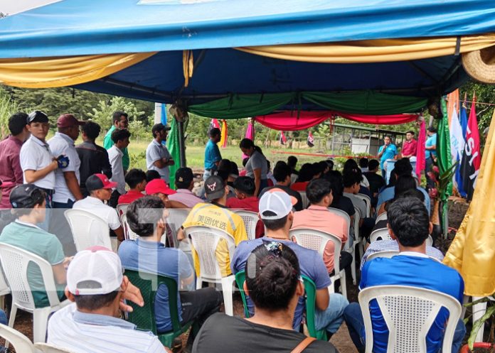 Foto: Vivero en CT de Muy Muy, Matagalpa / TN8
