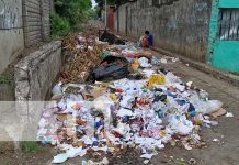 Ratas, moscas y malos olores: el drama del barrio Jorge Dimitrov, Managua Foto: Barrio Jorge Dimitrov, en Managua, con una gran acumulación de basura / TN8