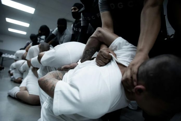 Foto: Venezuela abre denuncia penal contra Bukele /Cortesía Foto: Venezuela abre denuncia penal contra Bukele /Cortesía