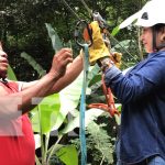 Turismo con altura: abren canopy ecológico en San José de los Remates Foto: Canopy en San José de los Remates, Boaco / TN8