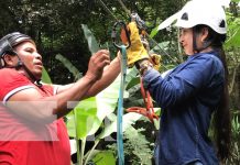 Turismo con altura: abren canopy ecológico en San José de los Remates Foto: Canopy en San José de los Remates, Boaco / TN8